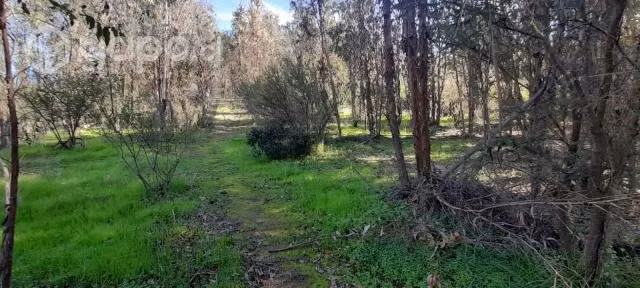 Parcelas Quilpue