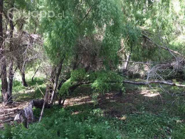 Terreno con río, Ramadas de tulahuen