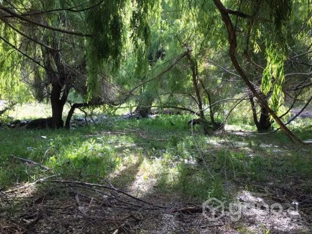Terreno con río, Ramadas de tulahuen
