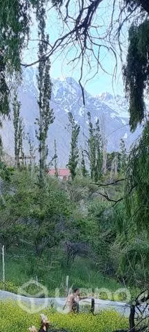 Terreno con río, Ramadas de tulahuen