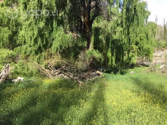 Terreno con río, Ramadas de tulahuen