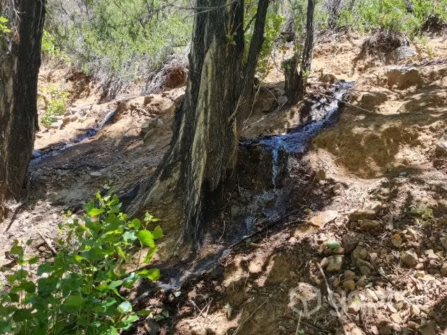 Terreno con río, Ramadas de tulahuen