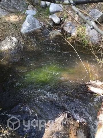 Terreno con río, Ramadas de tulahuen