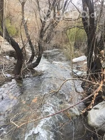 Terreno con río, Ramadas de tulahuen
