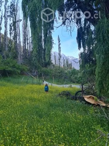 Terreno con río, Ramadas de tulahuen