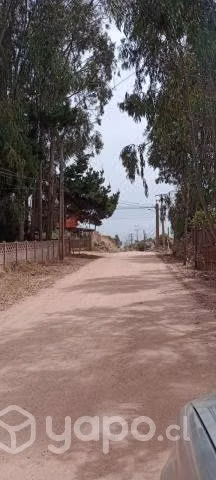 Camino a Quillay / El Tabo