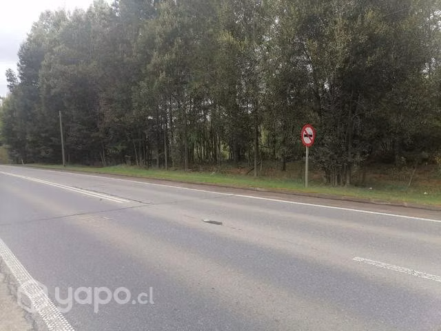 Parcela cerca de Valdivia 7000mts - Imagen 2