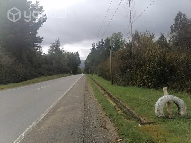 Parcela cerca de Valdivia 7000mts - Imagen 4