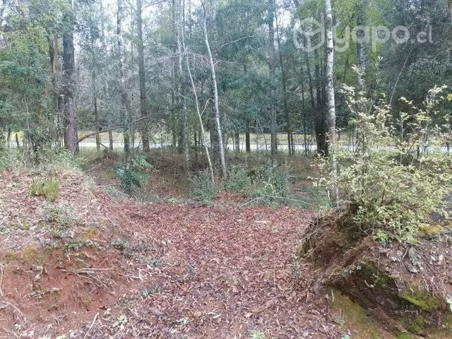 Parcela cerca de Valdivia 7000mts - Imagen 9