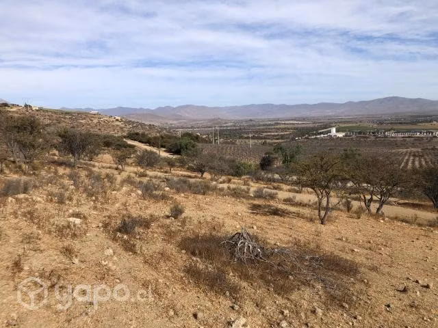 Vendo lotes sector el hinojo punitaqui