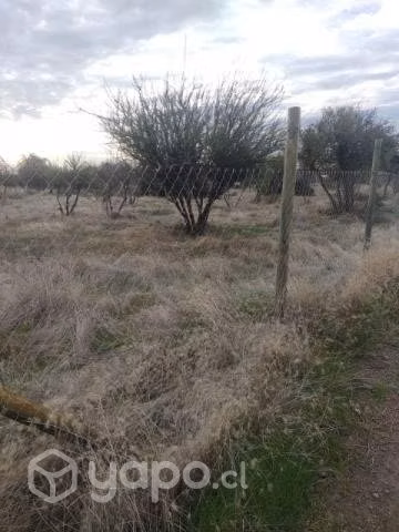 Parcela de 5000 mt2