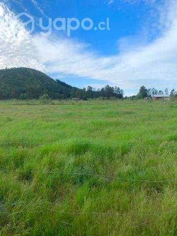 Se vende hermoso terreno en Talca, 5000 m2 - Imagen 6
