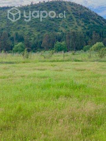 Se vende hermoso terreno en Talca, 5000 m2 - Imagen 4