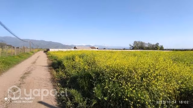 Parcela sector Santa Margarita en Codegua - Imagen 6