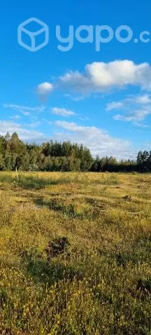 Parcela 5000m2 Camino Boyen , Chillán