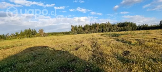 Parcela 5000m2 Camino Boyen , Chillán