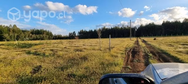Parcela 5000m2 Camino Boyen , Chillán