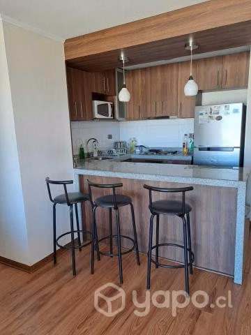 Arriendo Departamento Céntrico Don Felipe Amoblado