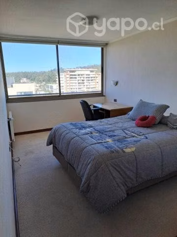 Arriendo Departamento Céntrico Don Felipe Amoblado