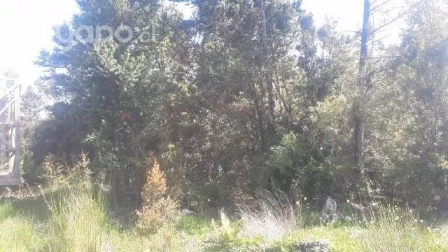 Se vende terreno
