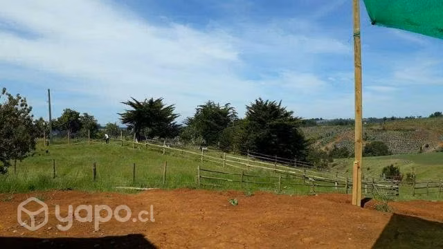 Campo en Carahue , La Araucanía