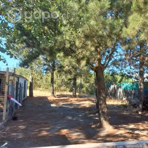 Sitio en Turquía, laja