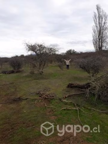 Vendo parcela