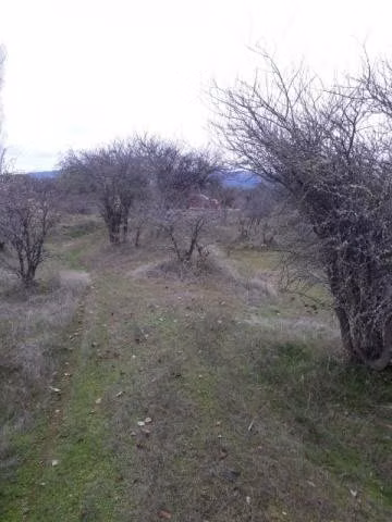 Vendo parcela