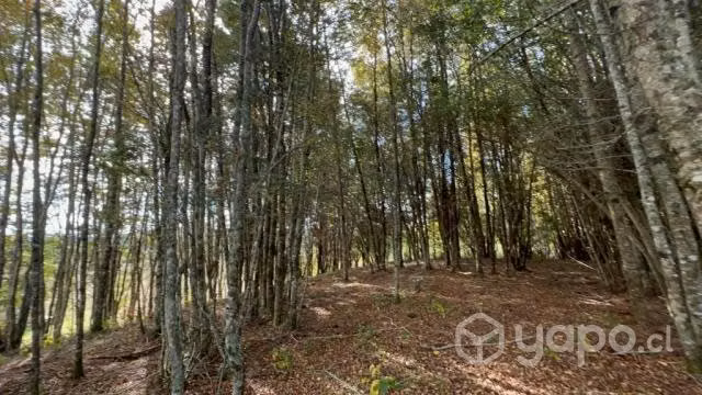 Parcela en venta cercano a villarrica lican ray y