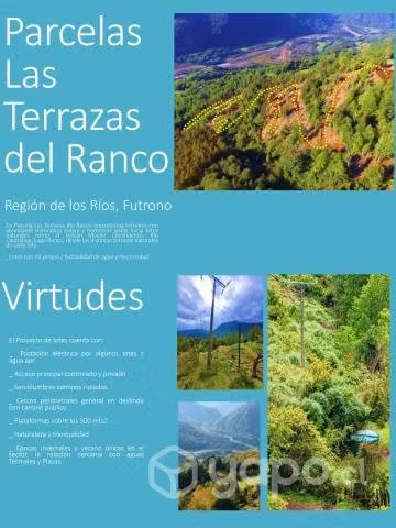 Parcela futrono - Imagen 2