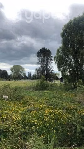 Parcela en venta frutillar … - Imagen 2