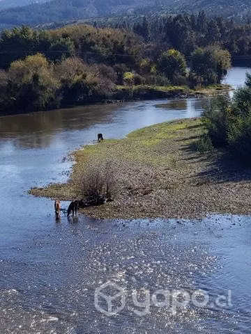 Hermosa parcela en hualañe 7 region