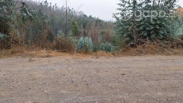 Terreno 5.500 m2, Rol Propio, Primer Agua Penco