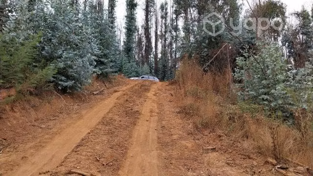Terreno 5.500 m2, Rol Propio, Primer Agua Penco