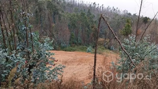 Terreno 5.500 m2, Rol Propio, Primer Agua Penco