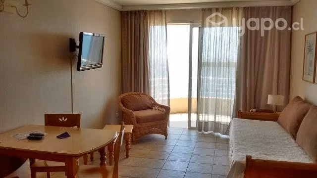Departamento Hippocampus Concón, 9 a 16 de Febrer0