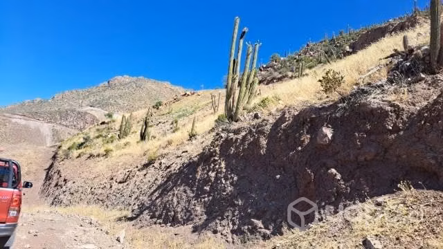 Terreno 5000 mt2 Rinconada de los Andes