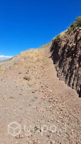 Terreno 5000 mt2 Rinconada de los Andes