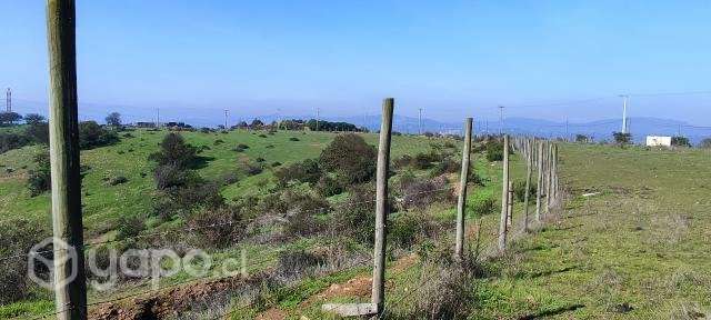 Terreno las gaviotas concon - Imagen 2