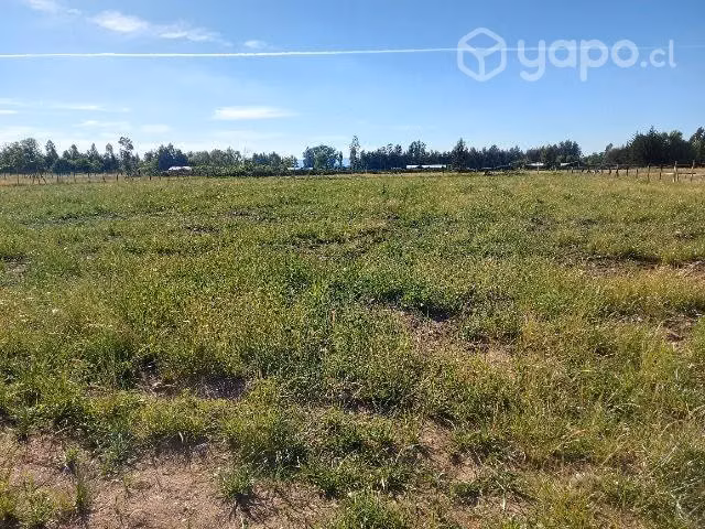 Parcela 5 mil metros en san jorge de romeral