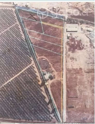 Parcela terreno 5000 m2 ovalle