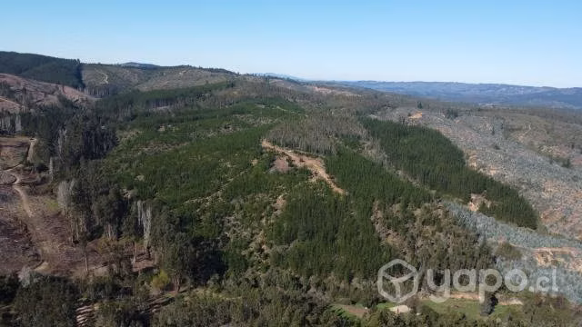 Terreno cordillera de la costa