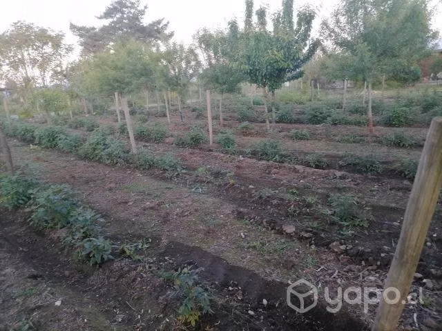 Vendo Parcela en La Puntilla (LONGAVI)