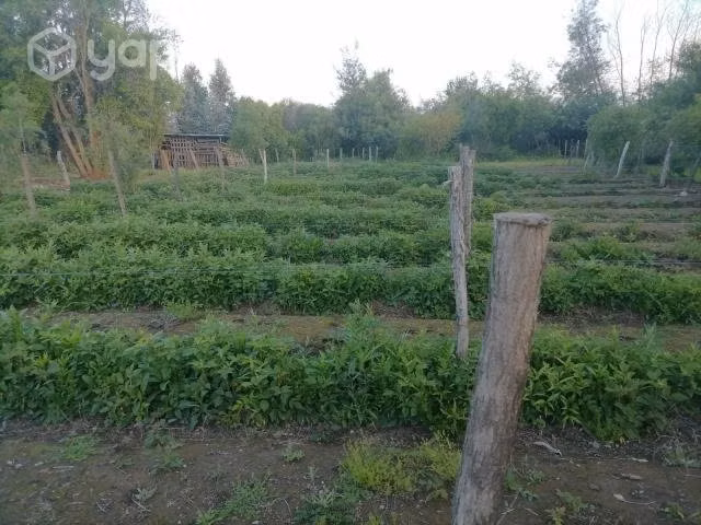 Vendo Parcela en La Puntilla (LONGAVI)