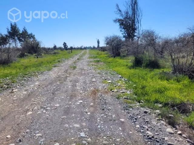 Terreno de “Media Hectárea”