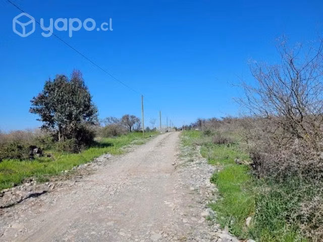 Terreno de “Media Hectárea”