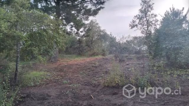 Terreno quillón - Imagen 14