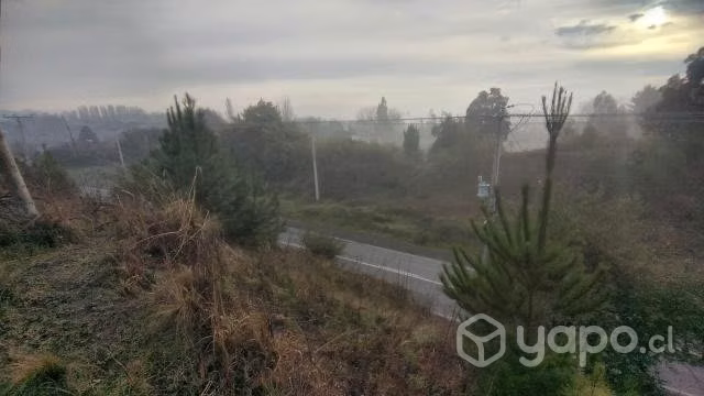 Terreno quillón - Imagen 11