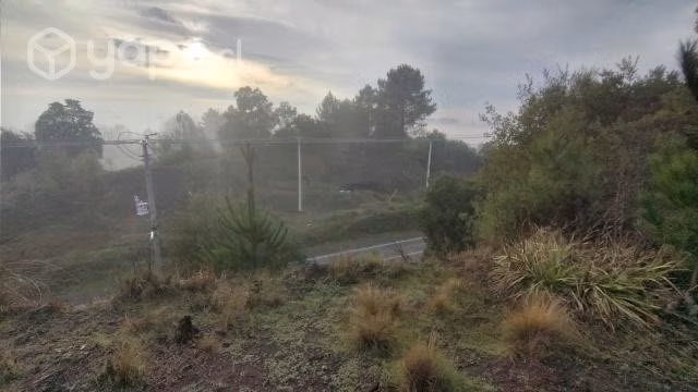 Terreno quillón - Imagen 10