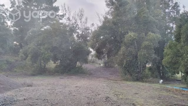 Terreno quillón